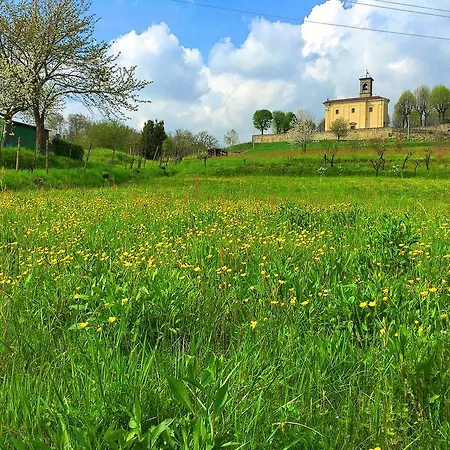 Palazzo Contessa